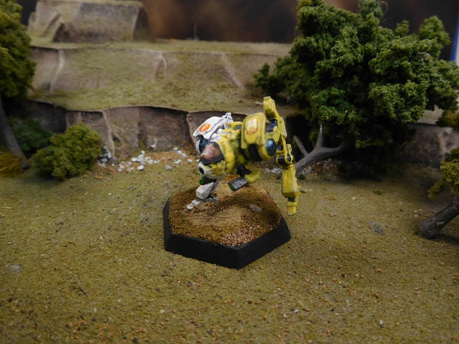 Painted Battletech Roadrunner, Davion Dawn Guards
