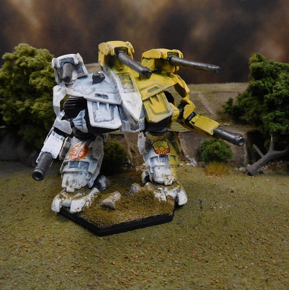 Painted Battletech Omega, Davion Dawn Guards